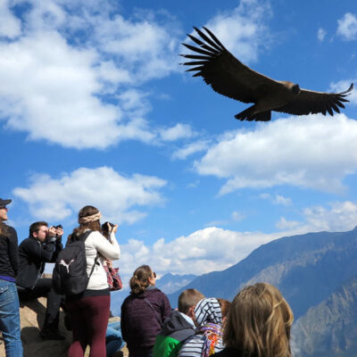 Tour Valle del Colca Full Day